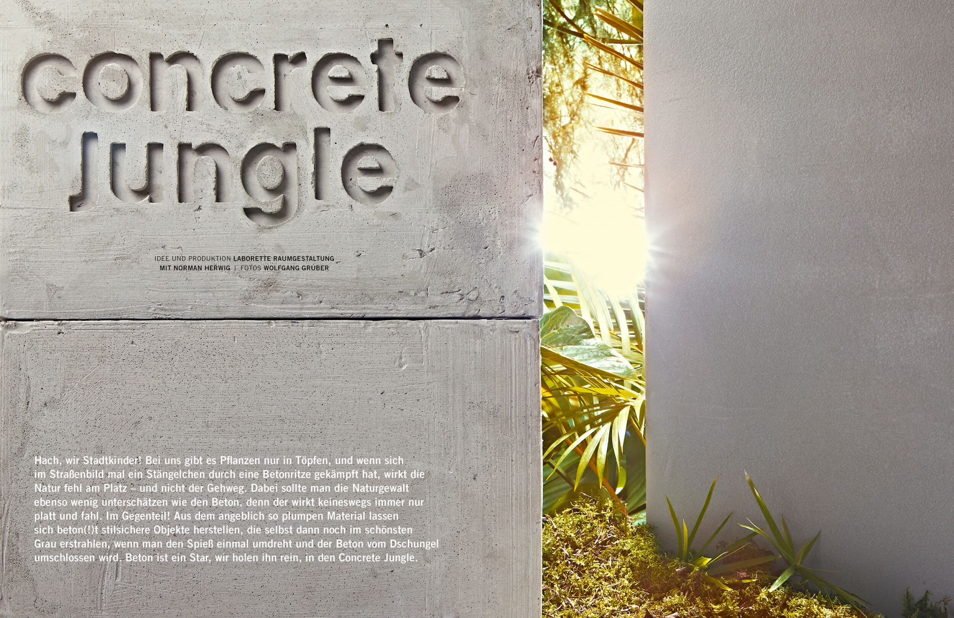 studiogruber Cut Magazin