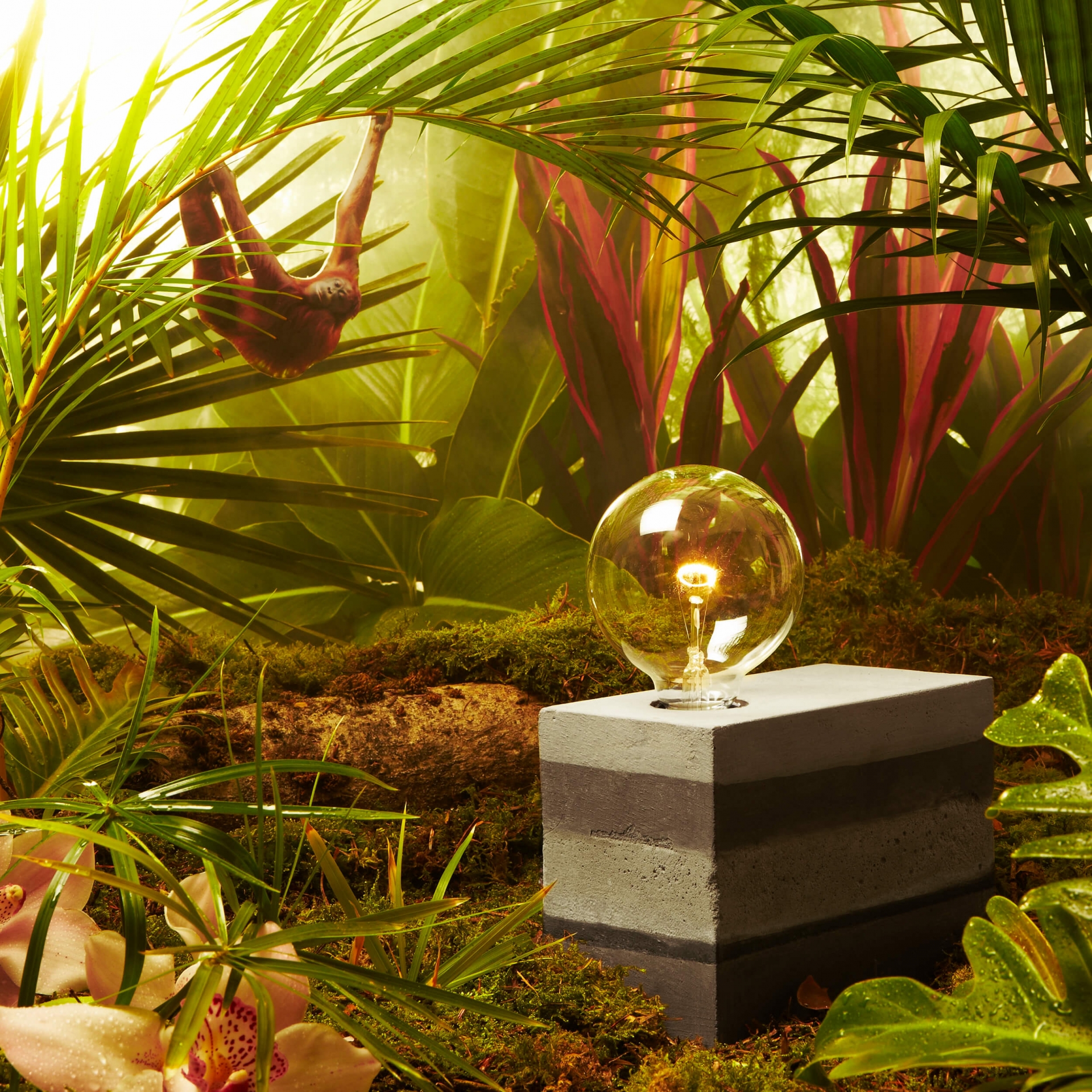 studiogruber Cut Magazin