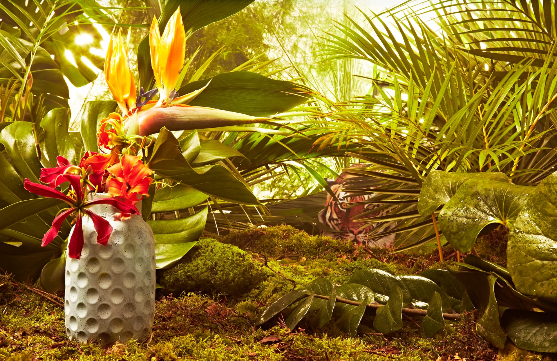 studiogruber Cut Magazin