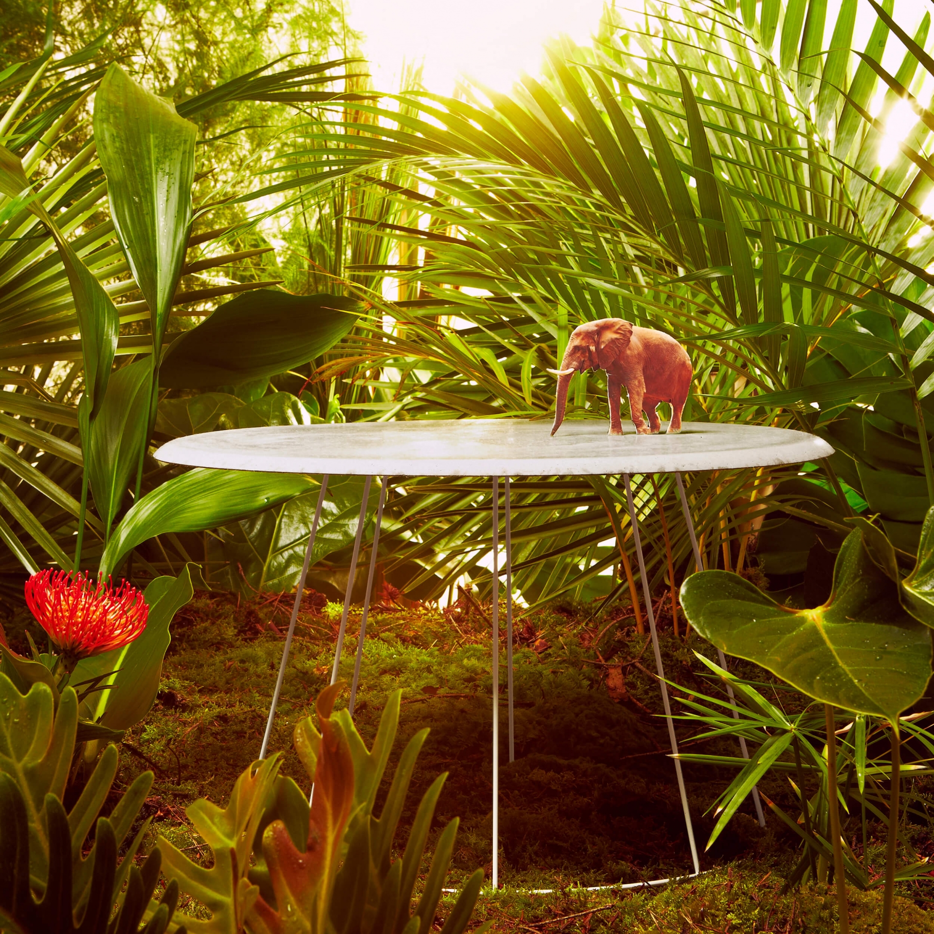 studiogruber Cut Magazin